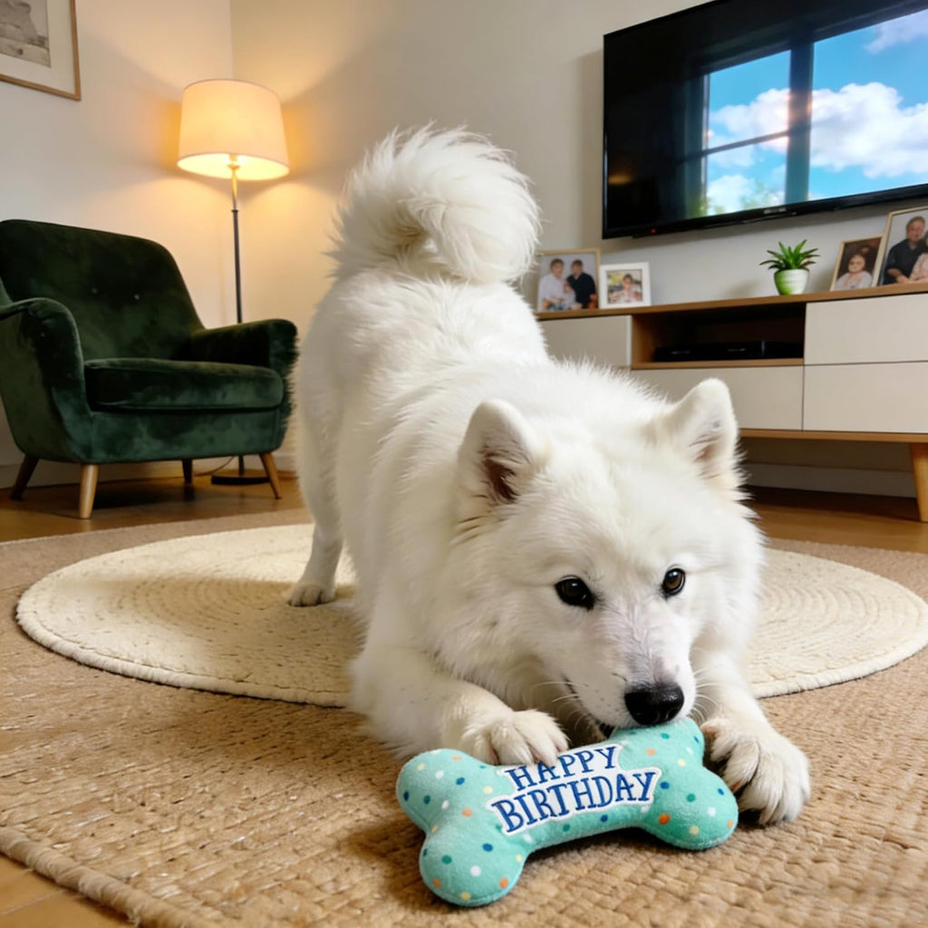 Dog Birthday Toys, Plush Dog Squeaky Toys, Stuffed Puppy Chew Toy for Small Medium Large Dogs, Bone Pet Toy