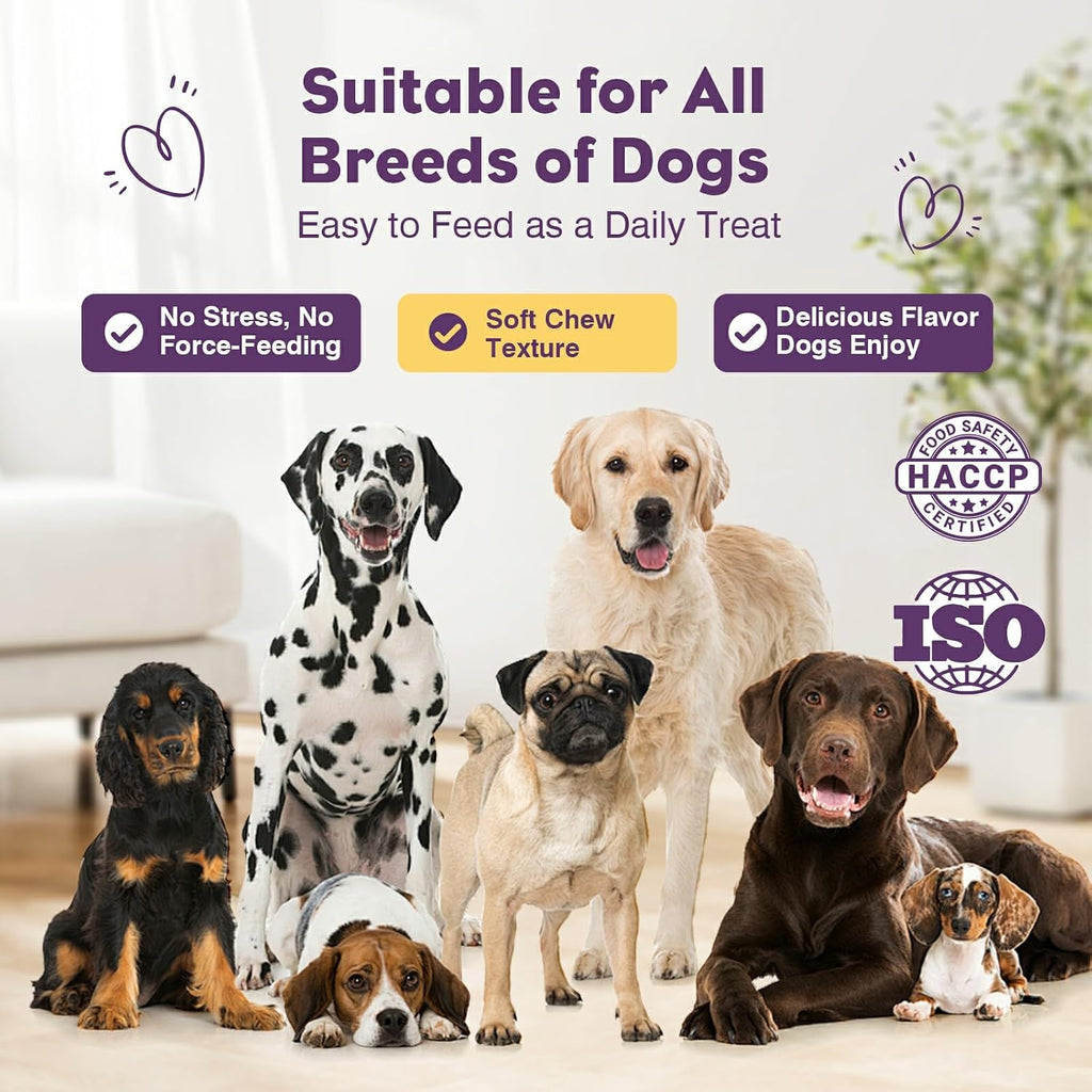 Probiotics for Dogs 200Pcs Dog Probiotics for Digestive Health Chicken
