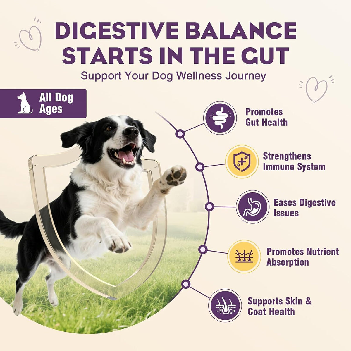 Probiotics for Dogs 200Pcs Dog Probiotics for Digestive Health Chicken