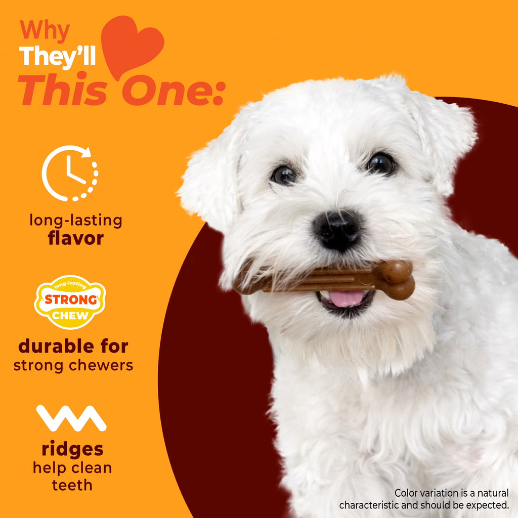 Strong Chew Textured Bone Dog Toy, Dog Chew Toy, Made with Real Beef & Chicken, X-Small, 2-Pack